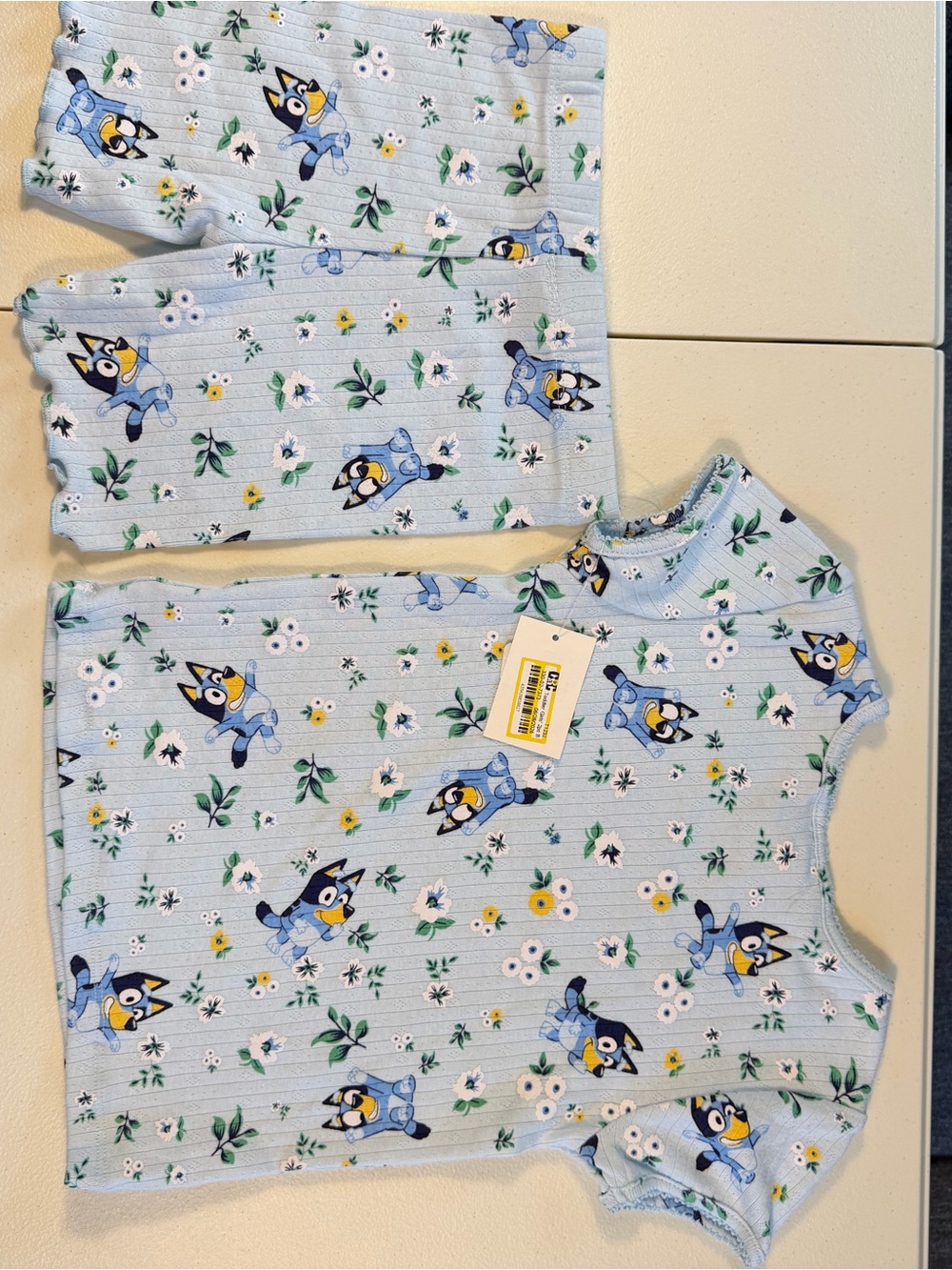 NWT Bluey Girls Floral Pajama Set Shorts Blue 3T